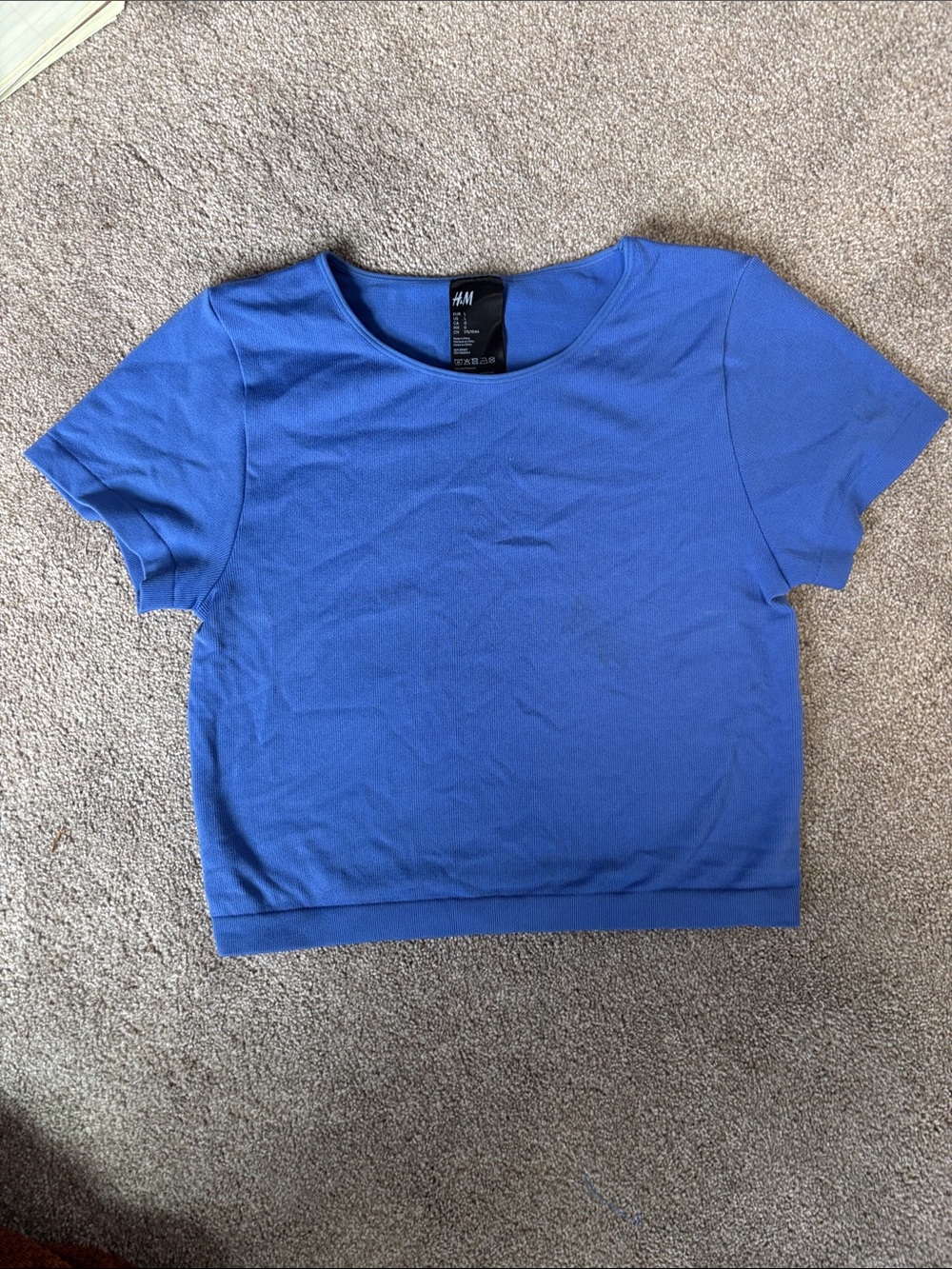 H&M Royal Blue Crop Top Tee